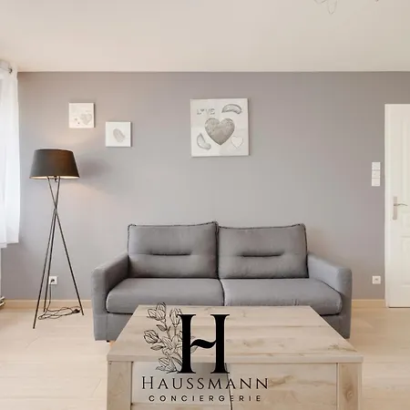 아파트 Centre Gare Climatise 낭시