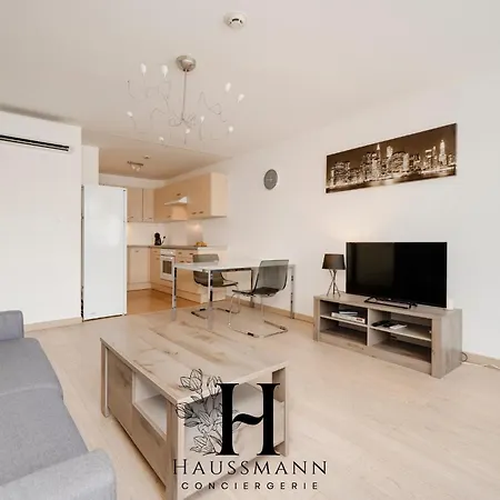 Apartment Centre Gare Climatise *