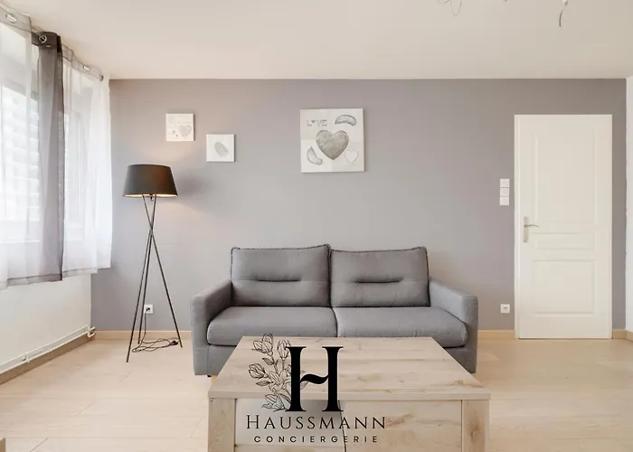 דירה Centre Gare Climatise נאנסי