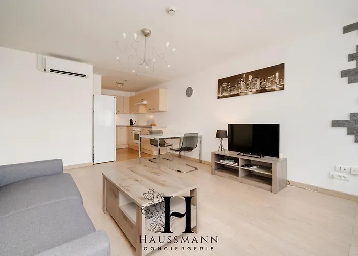 Apartment Centre Gare Climatise *